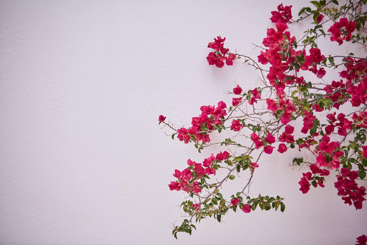 Spetses Retreat Accommodation Ngoại thất bức ảnh