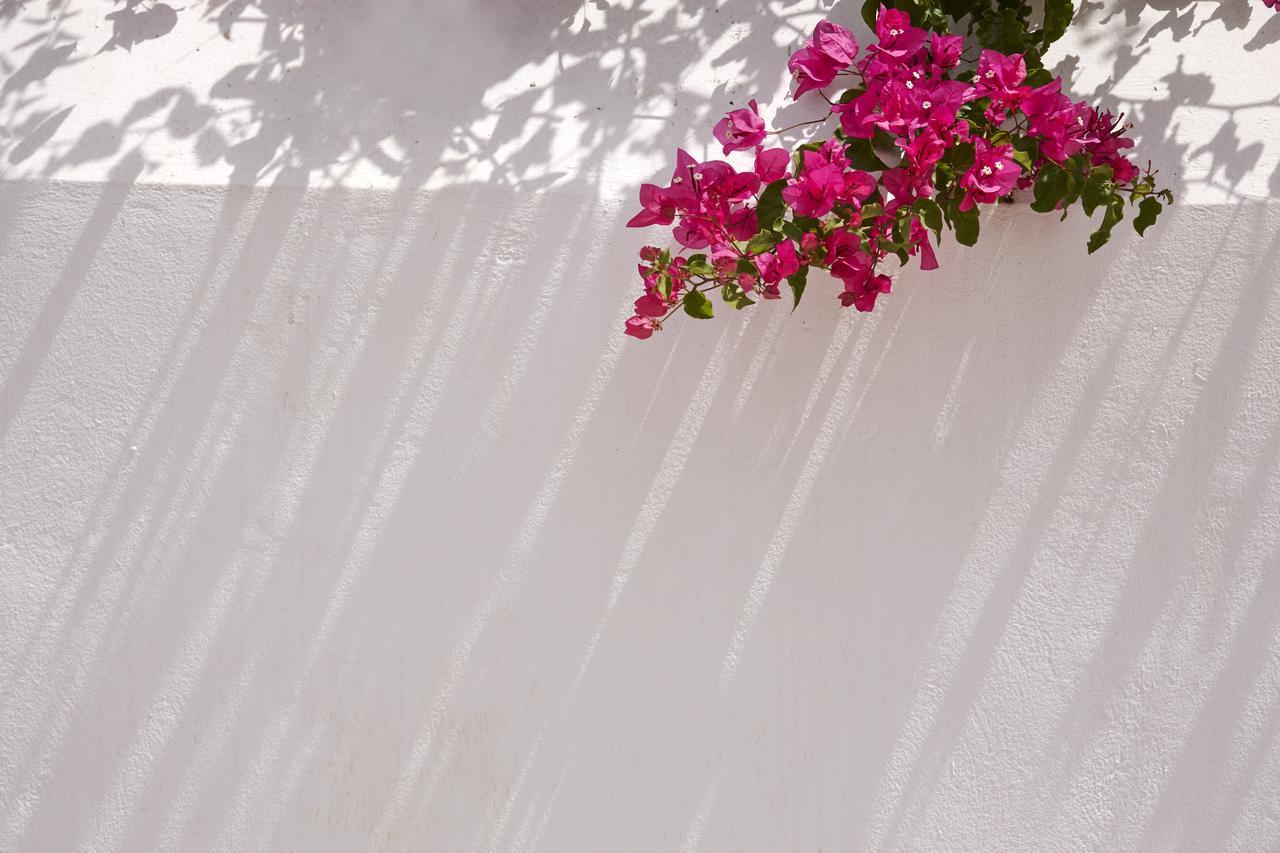 Spetses Retreat Accommodation Ngoại thất bức ảnh