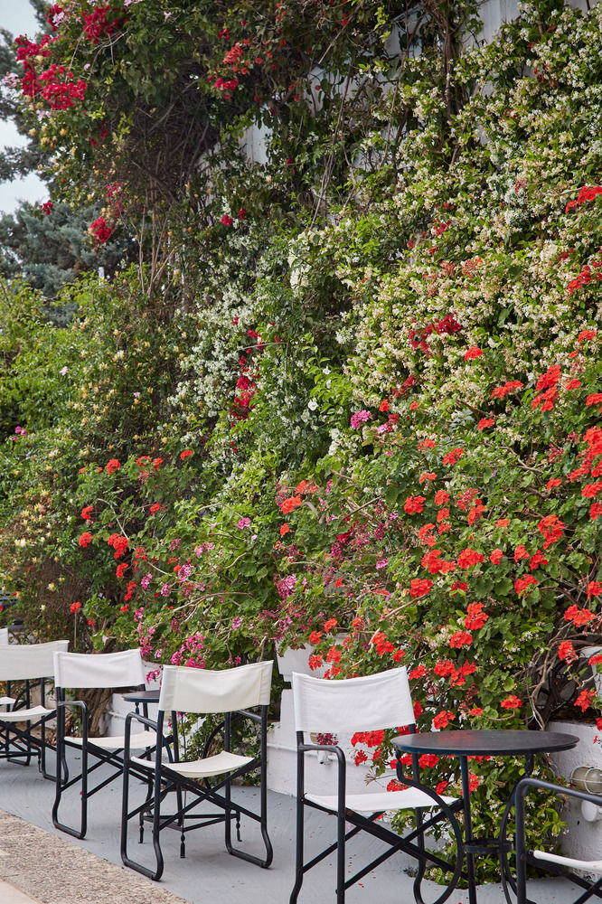 Spetses Retreat Accommodation Ngoại thất bức ảnh